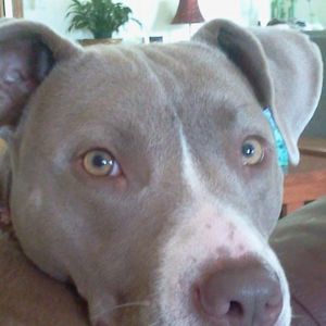 Meet your Posher, Cathy